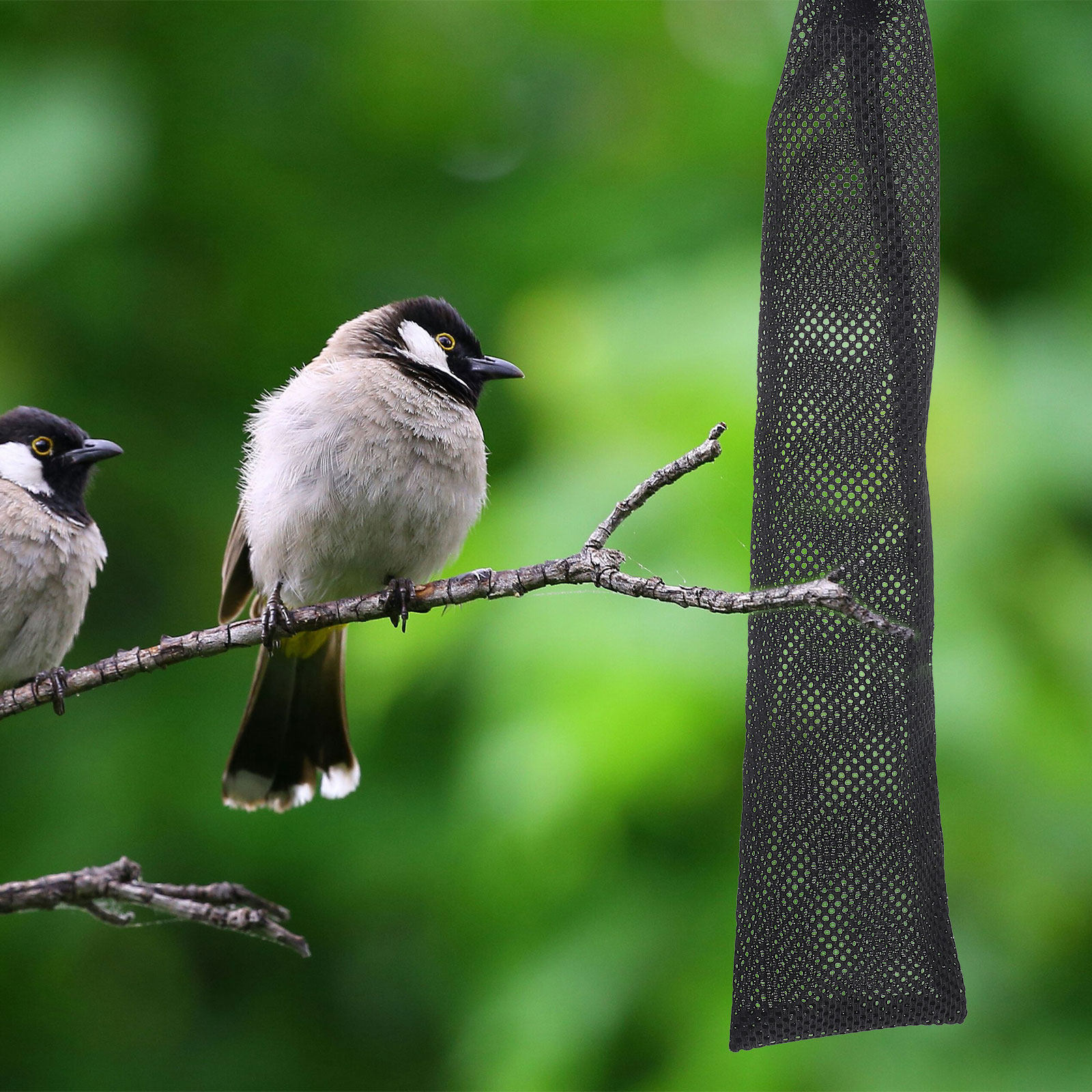 3 Peças Sacos de Alimentação p - Mesh Feeder Bag avaliação e preço